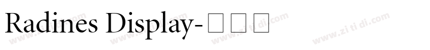 Radines Display字体转换